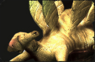 Bestiarium